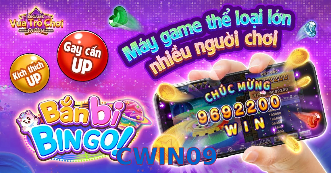 CWIN09