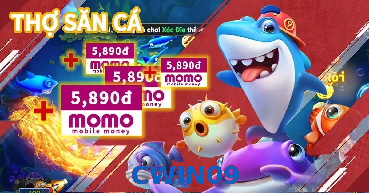 CWIN09