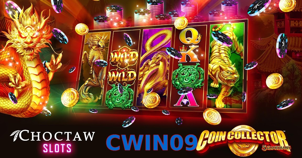 CWIN09