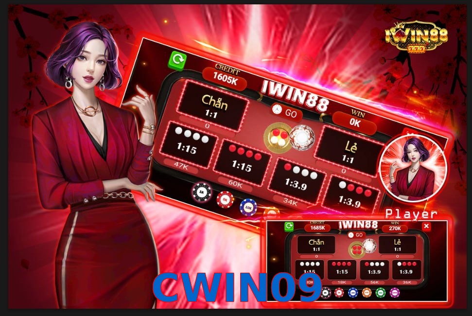 CWIN09