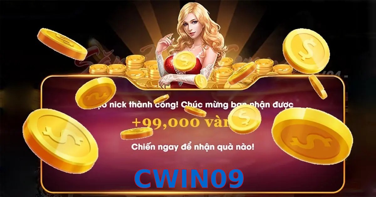 CWIN09