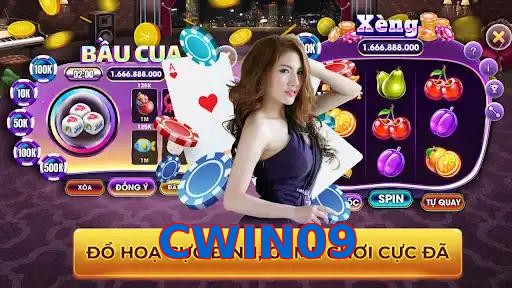 CWIN09