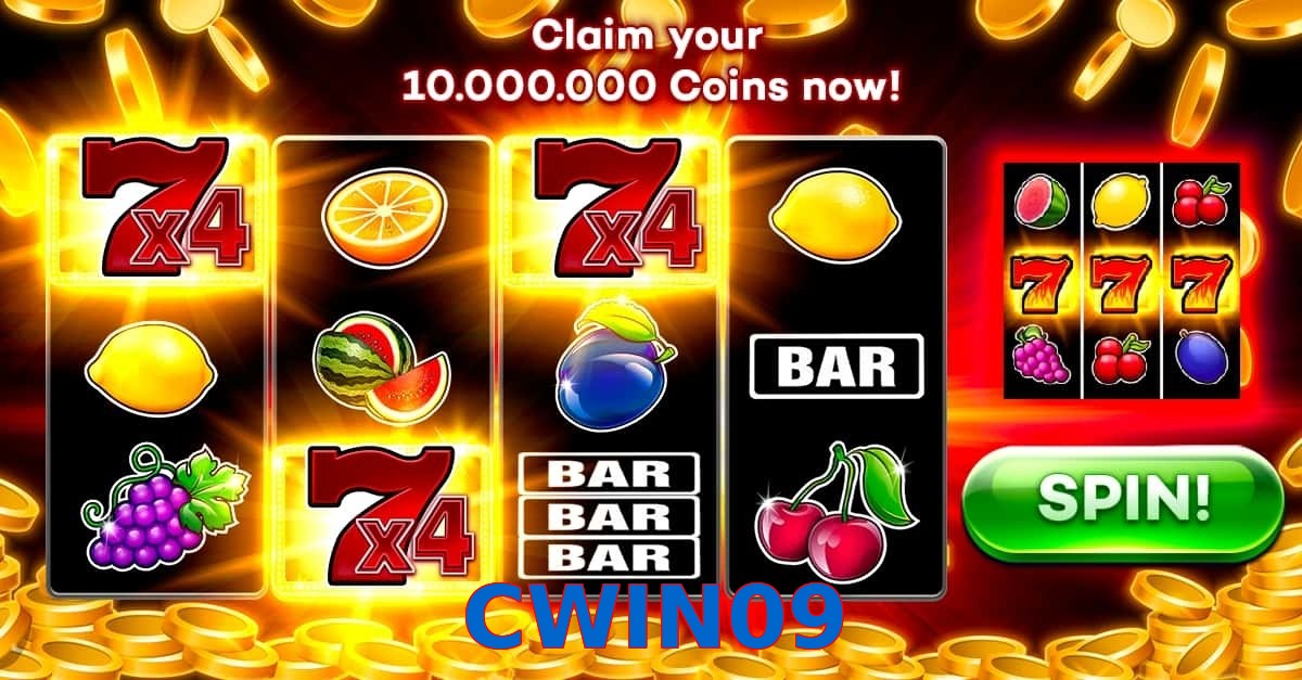 CWIN09