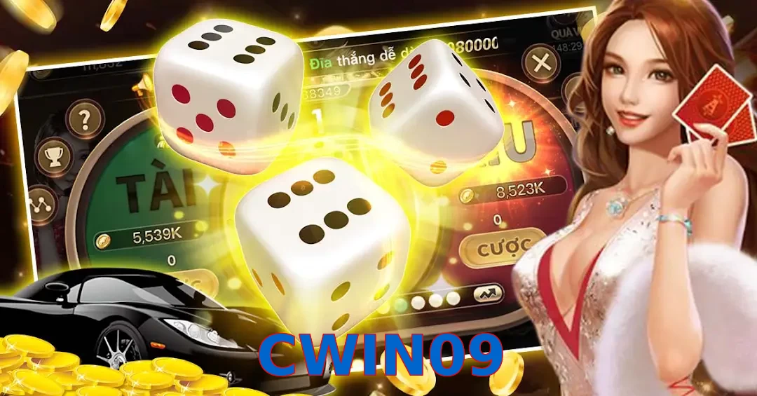 CWIN09