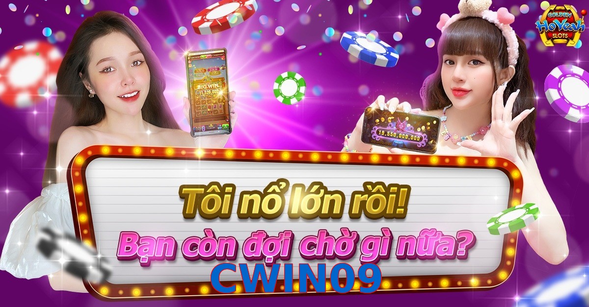 CWIN09