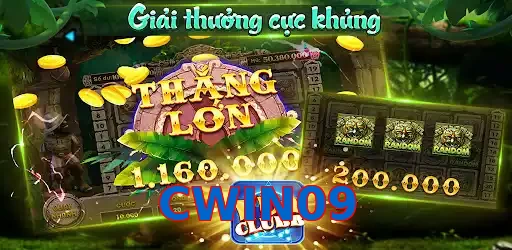 CWIN09