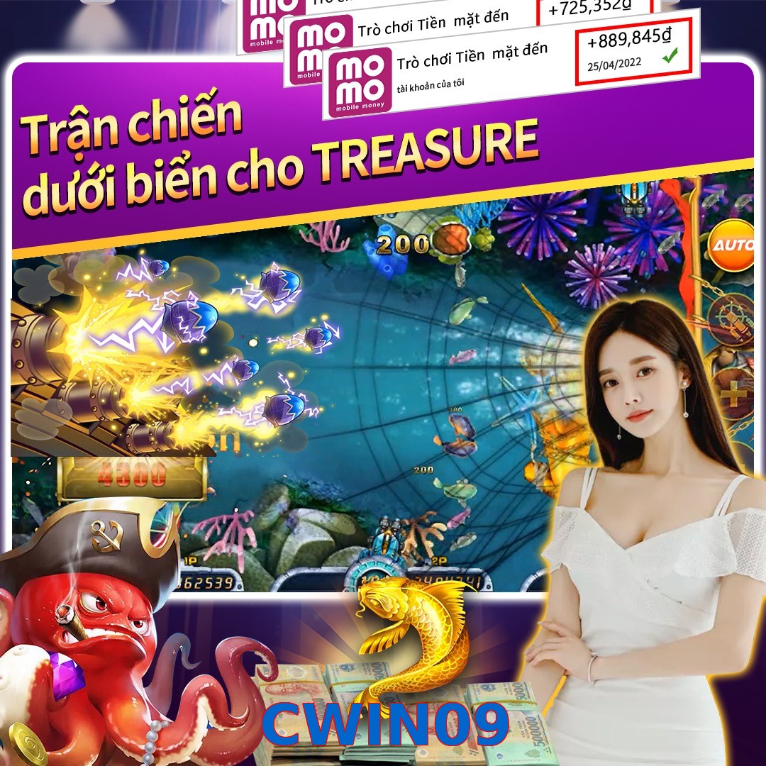 CWIN09